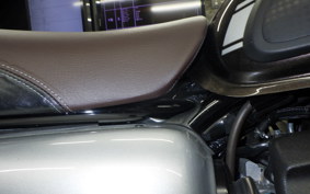KAWASAKI W800 CAFE 2019 EJ800B