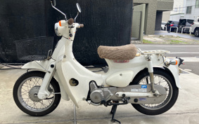 HONDA LITTLE CUB AA01