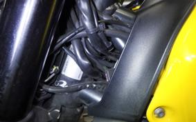 DUCATI SCRAMBLER ICON 2021