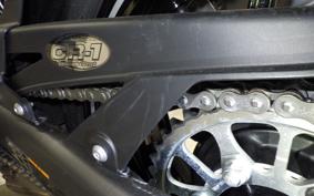 KAWASAKI NINJA 1000SX 2024 ZXT02K