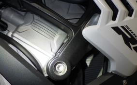 BMW S1000RR M DDC 2025