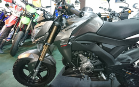 KAWASAKI Z125 PRO BR125H