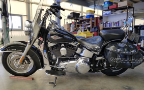 HARLEY FLSTC 2013 BW5
