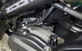 HONDA ZOOMER 2023 AF58