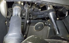 KAWASAKI NINJA 250 ABS EX250L