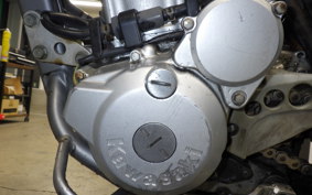 KAWASAKI KLX250 2025 LX250E