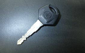 YAMAHA MT-25 A RG74J