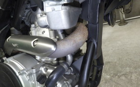 YAMAHA WR250X 2024 DG15J