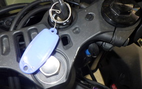 YAMAHA YZF-R25 A RG74J