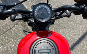 HARLEY  HARLEY RH975 NIGHT  STAR  2024 ZH1