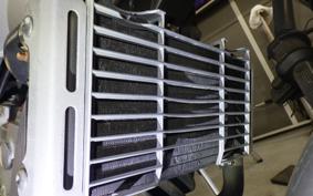 HONDA HORNET 250 2001 MC31