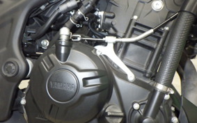 YAMAHA MT-25 A 2011 RG43J