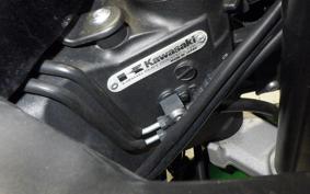 KAWASAKI NINJA 1000 SX 2020