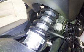 TRIUMPH TRIDENT 660 2024