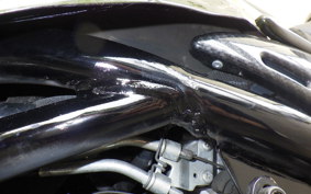 KAWASAKI Z900RS 2021 ZR900C