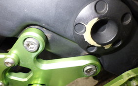 KAWASAKI NINJA 250R 2019 EX250K