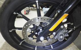 HARLEY XL883N 2018