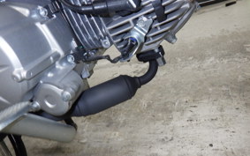 HONDA CROSS CUB 50 2021 AA06
