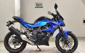 KAWASAKI Z250 SL 2009 BR250E