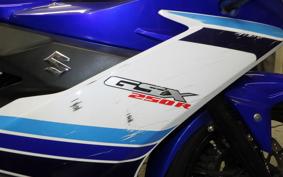 SUZUKI GSX250R
