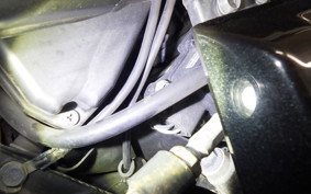 KAWASAKI NINJA 250R 2009 EX250K