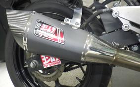 KAWASAKI Z250 2021 ER250C