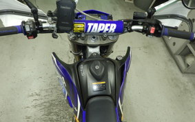 YAMAHA WR250R 2019 DG15J