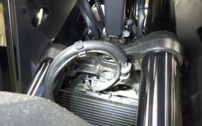 HONDA NX400 2025 NC65