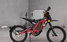 OTHER SA- LONG  LIGHT  BE L1E SM ..