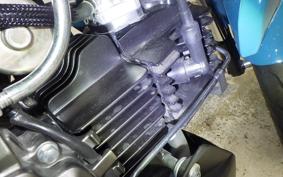 KAWASAKI Z125 PRO 2025 BR125H