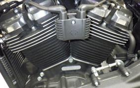 HARLEY FXBB1750 2019