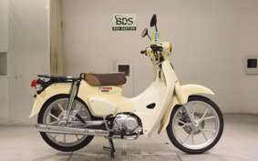HONDA C110 SUPER CUB 2009 JA59