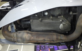 KAWASAKI Z250 2020 ER250C