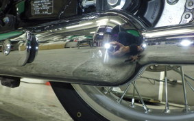 KAWASAKI W800 2024 EJ800E