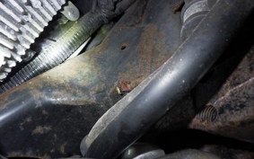 HONDA LEAD 125 2025 JF45