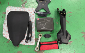 DUCATI 1299PANIGA-RES 2015 ZDMH905JAFB