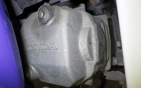 HONDA C110 SUPER CUB