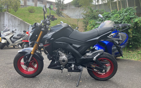 KAWASAKI Z125 PRO BR125H