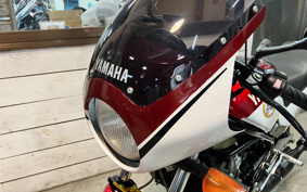 YAMAHA RZ250R 29L