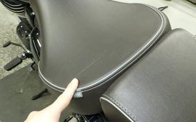 OTHER +ENFIELD ﾒﾃｵ350 2024