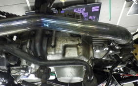 HONDA GORILLA 2024 Z50J