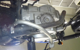 SUZUKI GRASS TRACKER Bigboy NJ4DA