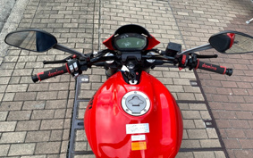 DUCATI MONSTAR 797 PLUS 2018 MD01