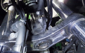 KAWASAKI VERSYS X250 A 2017 LE250D