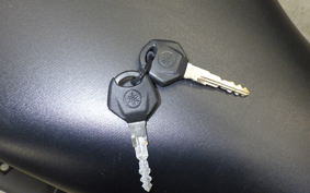 YAMAHA MT-25 A RG74J