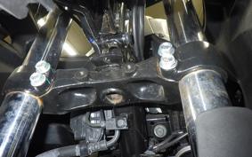 SUZUKI ｼﾞｸｻｰ250SF 2007 ED22Y