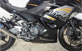 KAWASAKI NINJA 250 EX250P