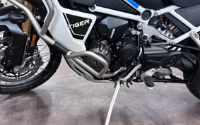 TRIUMPH TIGER EXPLORER 2025 TAP23V