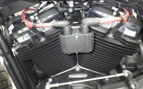 HARLEY FXFB1750 2020