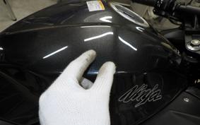 KAWASAKI NINJA 250 EX250L